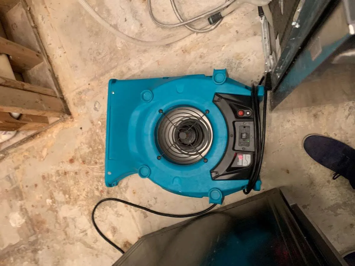 Air mover drying equipment for Mold Remediation & Removal in Nanakuli